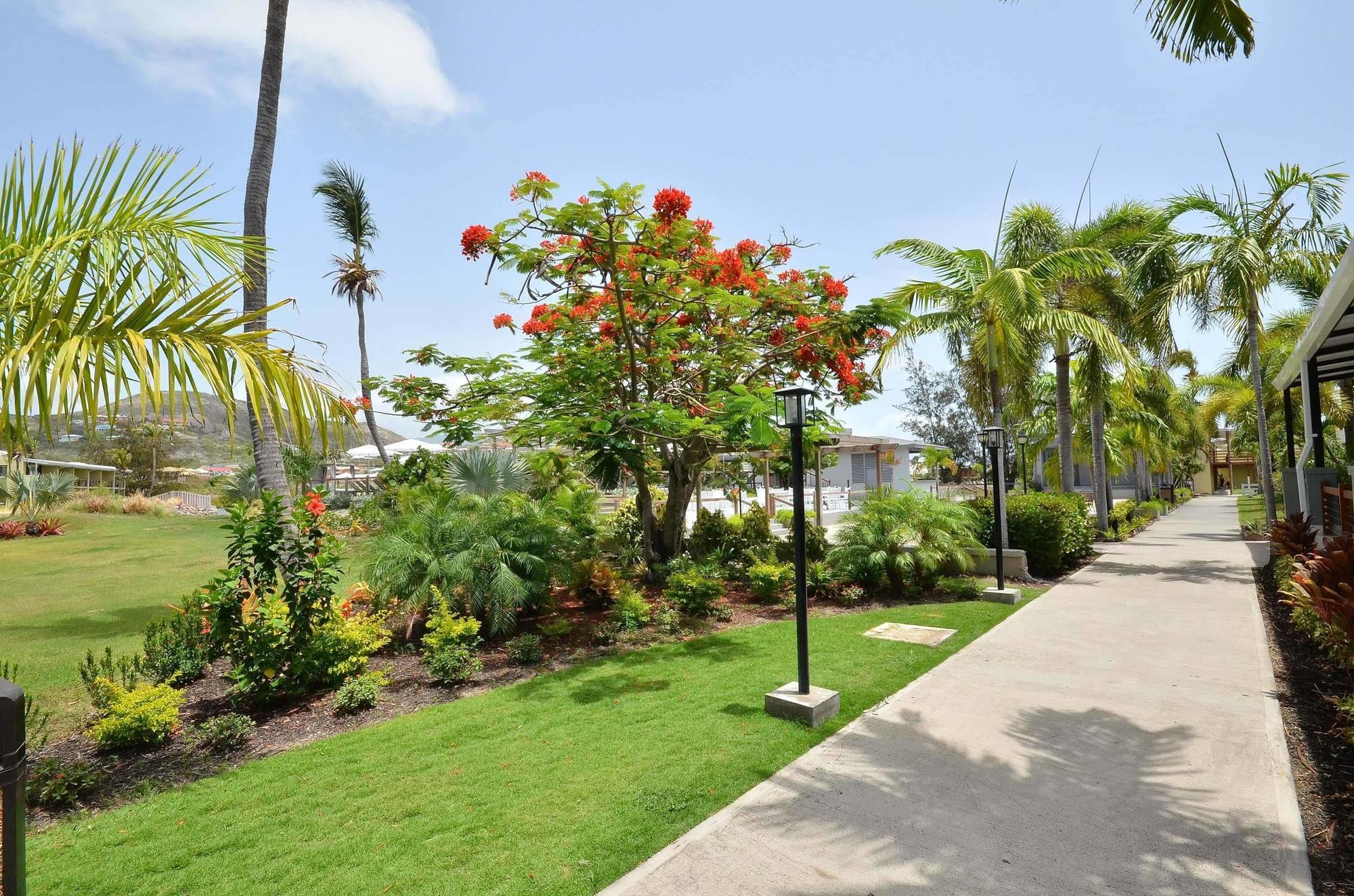 Royal St. Kitts Hotel Frigate Bay ภายนอก รูปภาพ